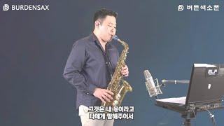 인생아 고마웠다 - 정용수 (버든색소폰) Burden Saxophone