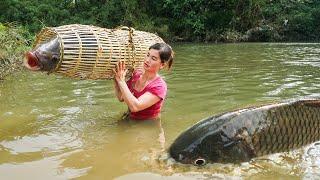 Unique fishing: The village girl catch many fish at river with primitive trap