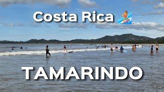 TOUR Of TAMARINDO, Costa Rica + Popular Town  Top Surfing Beach #travel #tourism