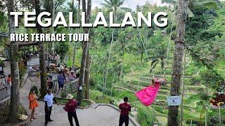 [4K] Bali Tegallalang Rice Terrace Virtual Tour - Uma Ceking, Day Trip from Ubud