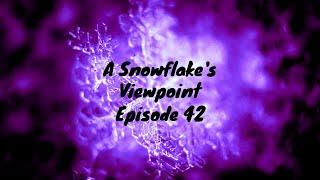 A Snowflake Viewpoint Episode 42