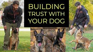 HOW TO BUILD TRUST WITH YOUR DOG | CANINE KARMA TRAINING | YOLO PUP