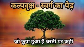 Kalpavriksha – The tree of heaven which is hidden somewhere on earth. Fulfills every wish.