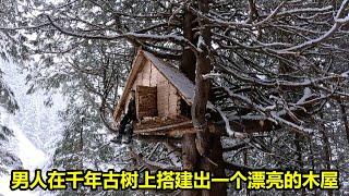 男人在千年古树上搭建出一个漂亮的木屋 | 在野外建造