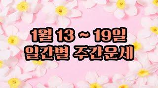 1🈷️13일~19일 일간별 주간운세 [소혜사주]