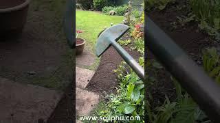 3 easy care tips to keep your garden happy and healthy #gardening #rosecaring #plantcare #garden
