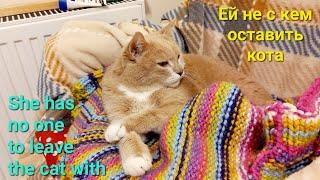 Ей не с кем оставить кота  / She has no one to leave the cat with / Fisha Kisulkin