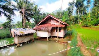 Kampung Damai Dengan Nuansa Pemandangan Alam Yang indah. pedesaan Jawa barat