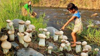 Found and pick mushroom for food-Mother Grilling squid spicy and mushroom for lunch with  daughter