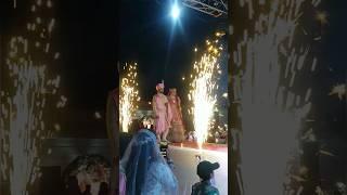 marriage program in rajasthan | royal marriage couple entry #shorts #viwes #short #marriage #viral