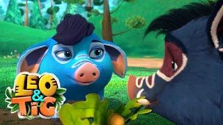 Leo and Tig  Cuba in Love  Funny Family Good Animated Cartoon for Kids