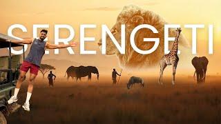 3 Days in the Wild: Serengeti & Ngorongoro! 