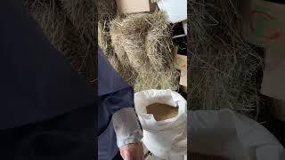 Покупки с бабушкой