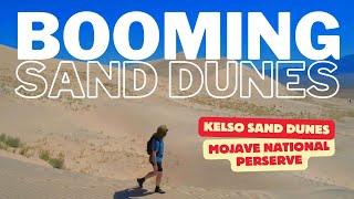 Discover the Booming Kelso Dunes: Unbelievable Hike in Mojave National Preserve!