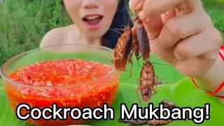 Ms Jin Su Cockroach Mukbang!