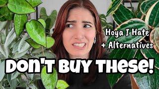 HOYA NO BUY LIST + ALTERNATIVES!!  if these 5 houseplants give you problems, try these instead!!