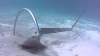 Mantus Anchor Underwater Video