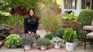 Show & Tell - Plants That Look Great in Late Fall // Garden Answer