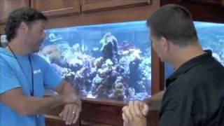 WetPets 460 Gallon LED Mixed Reef - ReefKeeping Video by AmericanReef - Start a Saltwater Aquarium