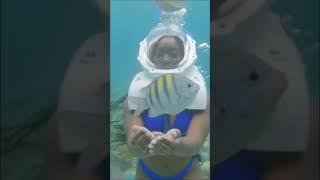 Underwater Walking #curacao #travel #travelvlog #curaçaoisland #trip #solotrip #girlstrip #holiday