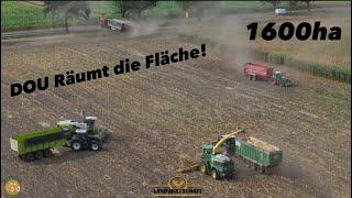 Das DOU Räumt die Fläche! 1600ha in 6 Wochen LU J&J Lohnauftrag Maishäckseln Silage für die Biogas