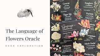 The Language of Flowers by Cheralyn Darcey - Deck Exploration