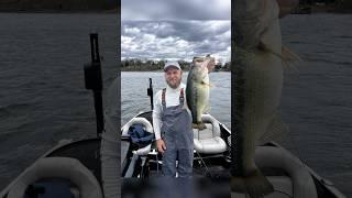 Giant bass in Table rock lake! #bigbass #shorts #bassfishingismylife #trend
