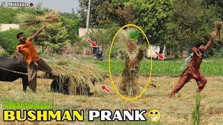 Most Funniest New BUSHMAN Prank Compilation | Top Fails Pranks Ever 