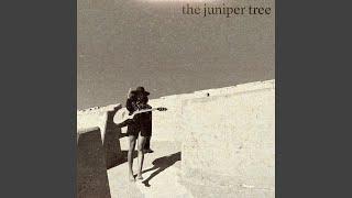 the juniper tree