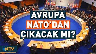 Avrupa NATO'dan Ayrılacak Mı? Türkiye, Norveç ve İngiltere'nin Olacağı Yeni Bir Yapı İddiası | NTV