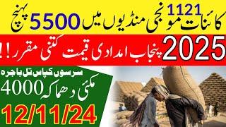 گندم امدادی قیمت  Wheat price in punjab/گندم  کا ریٹ 2024/ makki till sarso/Gallasuper munji