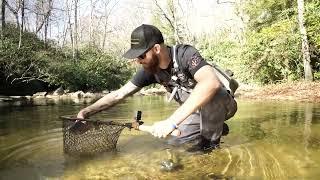How to use the Catch Cam Net - Trophy shot and release