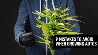 9 Mistakes To Avoid When Growing Autoflowering Cannabis