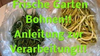 Frische rohe Garten Bohnen! Vorsicht giftig!! Anleitung  Verarbeitung !!