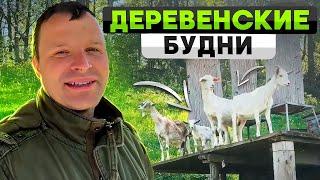 Деревенские будни.