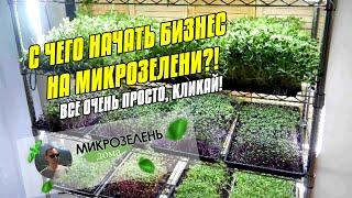 МИКРОЗЕЛЕНЬ ДОМА | ВЫРАЩИВАНИЕ МИКРОЗЕЛЕНИ | МИКРОЗЕЛЕНЬ С ЧЕГО НАЧАТЬ | ЭФФЕКТИВНОЕ ВЫРАЩИВАНИЕ