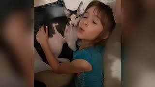 Котики)))