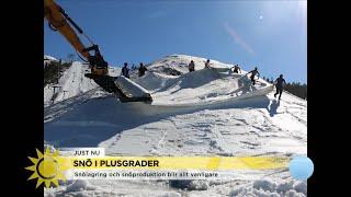 Här är dukarna som räddar vintern: ”Isolerar snön till nästa år - Nyhetsmorgon (TV4)