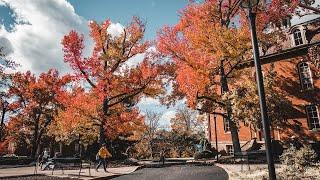 West Virginia University Campus, Fall 2021