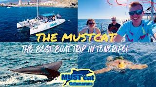 Mustcat Catamaran- BEST boat trip in Tenerife! Fin Whales, Dolphins, Turtles & More! 