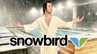 Go To Snowbird's Cliff Spa When It Snows | Fun Things To Do Near Salt Lake City Utah