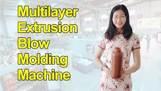 Multilayer co extrusion blow molding machine with 2 die heads for 1L pesiticide bottles