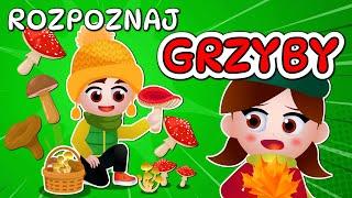  Kazio i TEST GRZYBIARZA - Grzybobranie dla dzieci - Rozpoznawanie grzybów 