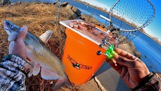 Bank Fishing For Winter Catfish!