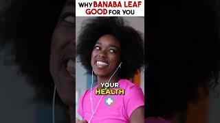 Why BANANA LEAF Will Change Your Health FOREVER!