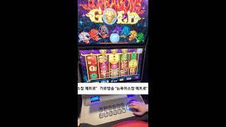 뉴욕머소장 오룡이골드 세로방송 0529