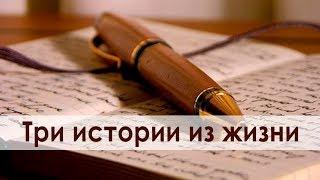 ЧЕЛЛЕНДЖ    ИСТОРИИ ИЗ МОЕЙ ЖИЗНИ