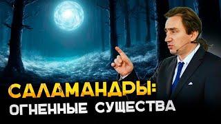 Саламандры - огненные существа. Сергей Серебряков