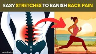 7 Best Lower Back Pain Exercises to Relieve Pain and Improve Mobility