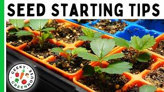 9 Seed Starting Tips We Wish We Knew as Beginners - Geeky Greenhouse